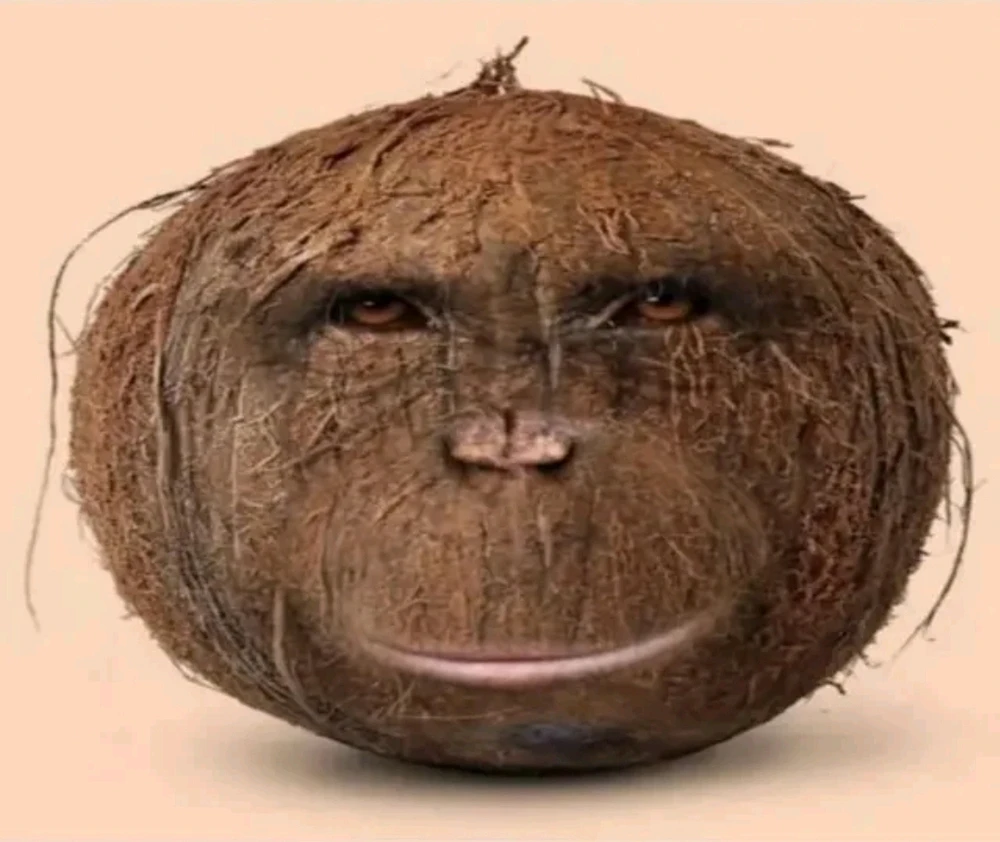 GIF diunggah ku Sean