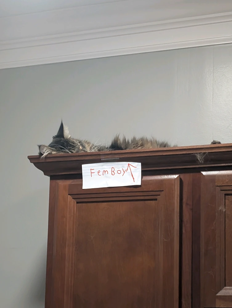 GIF uploaded by Cody