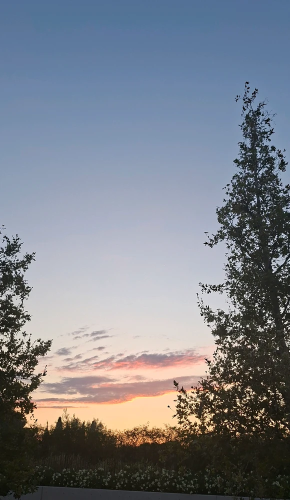 GIF uploaded by Δανιήλ