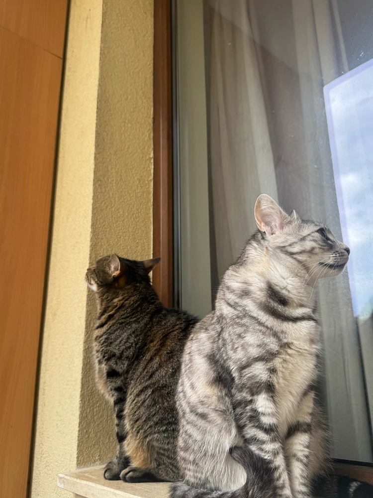 GIF uploaded by Gabi