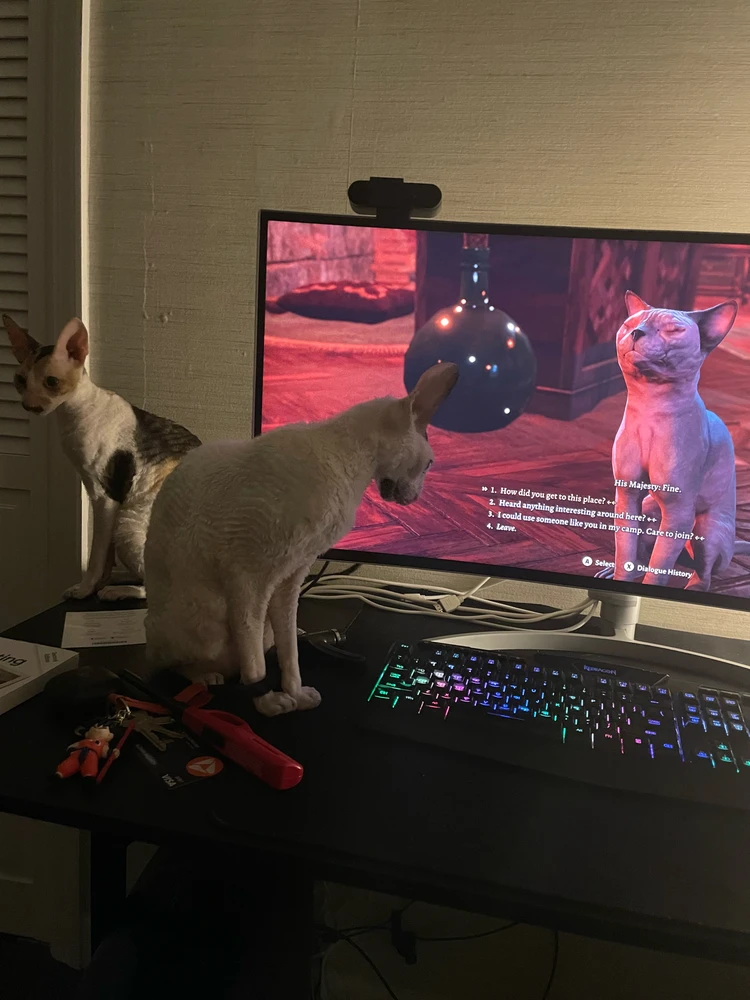 GIF uploaded by Alzhan