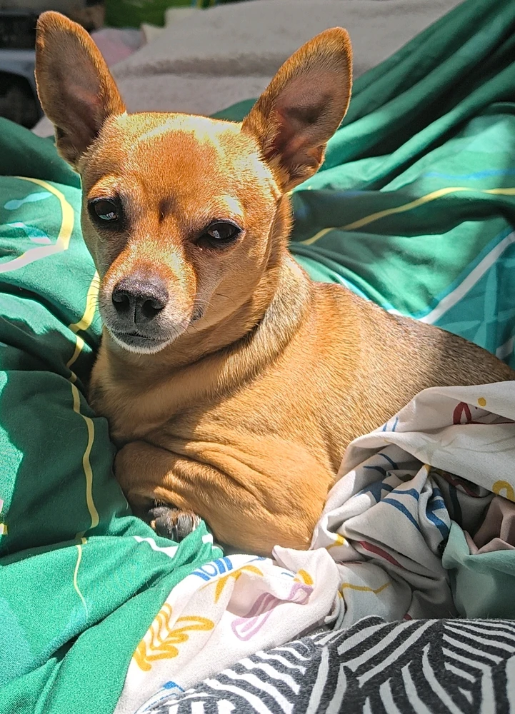 GIF uploaded by Whitley