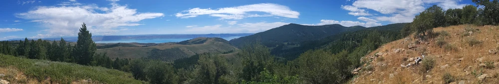 View from Pink Bench