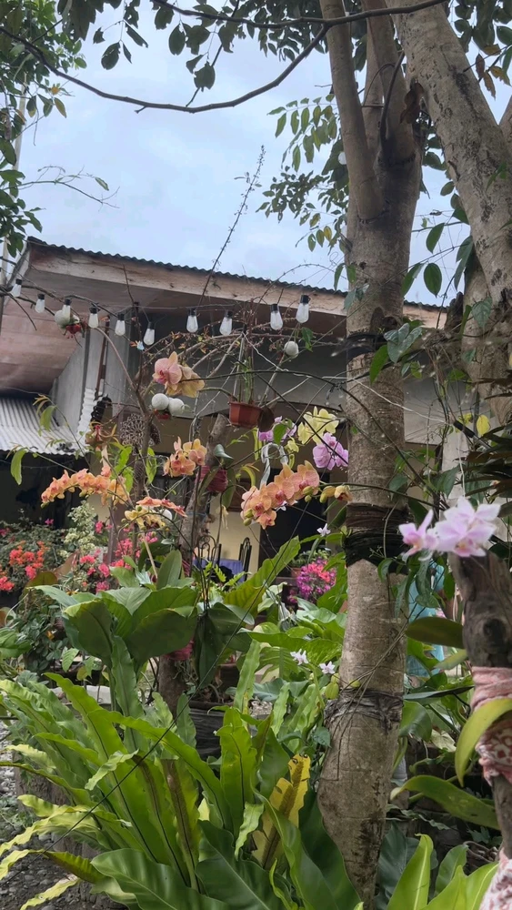 Image uploaded by Cehlihnah