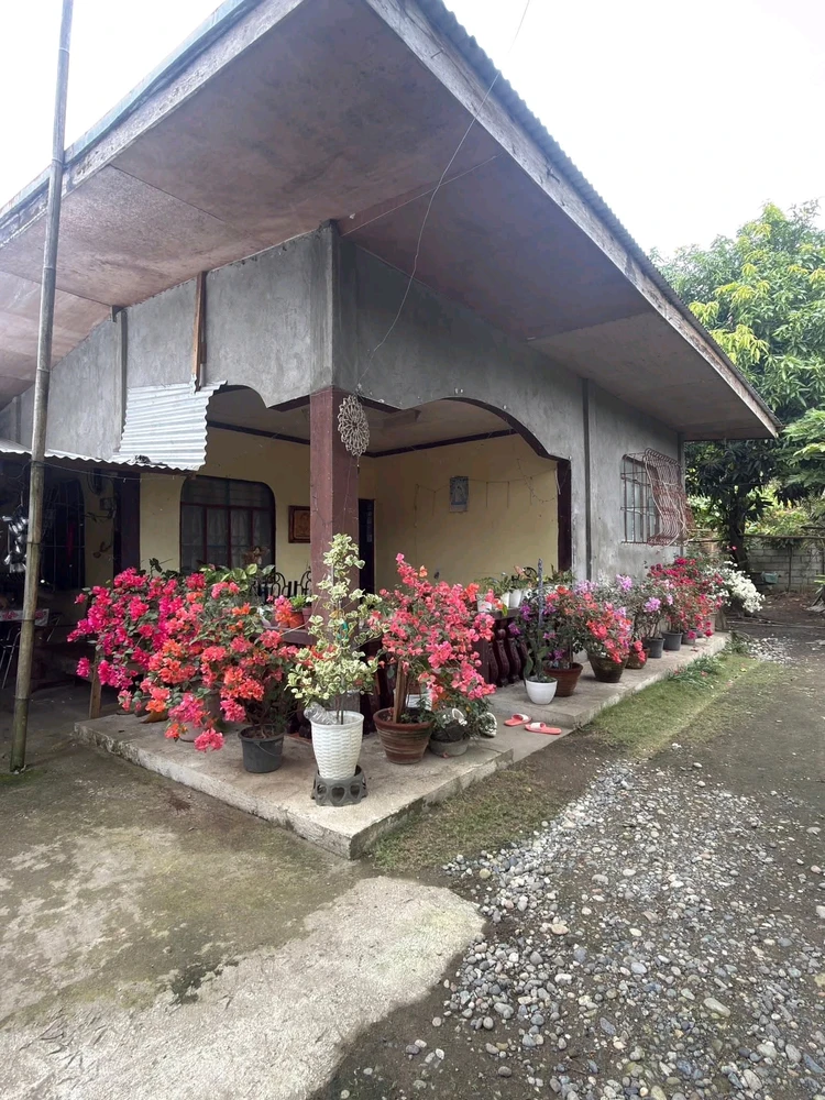 Image uploaded by Cehlihnah