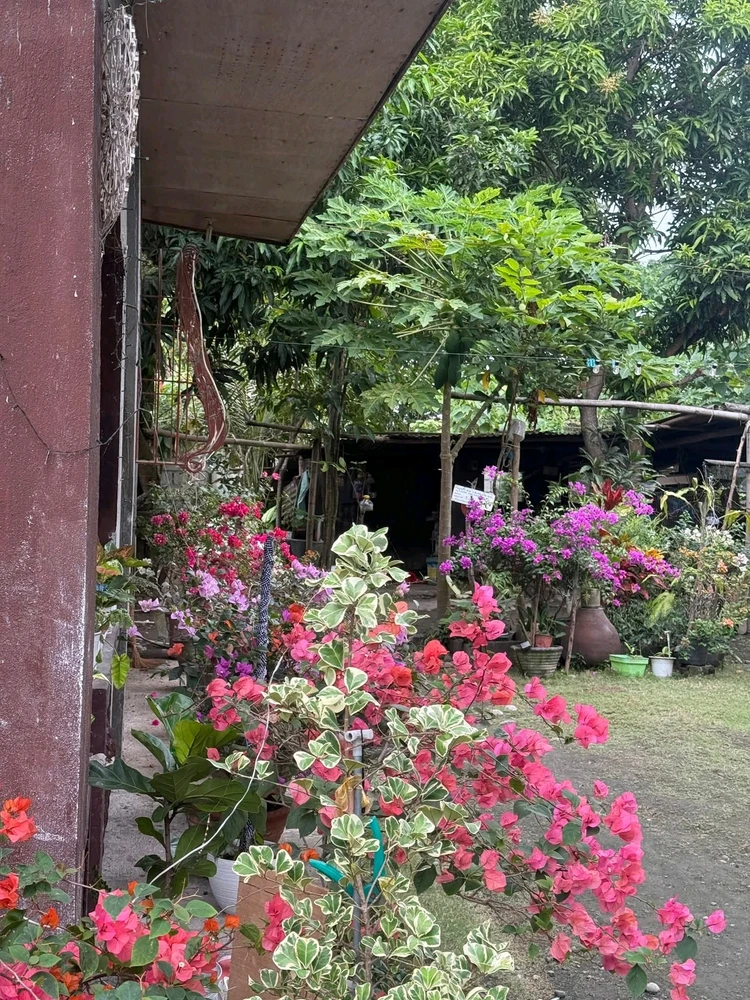 Image uploaded by Cehlihnah