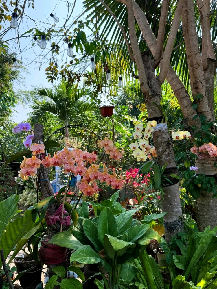 Image uploaded by Cehlihnah