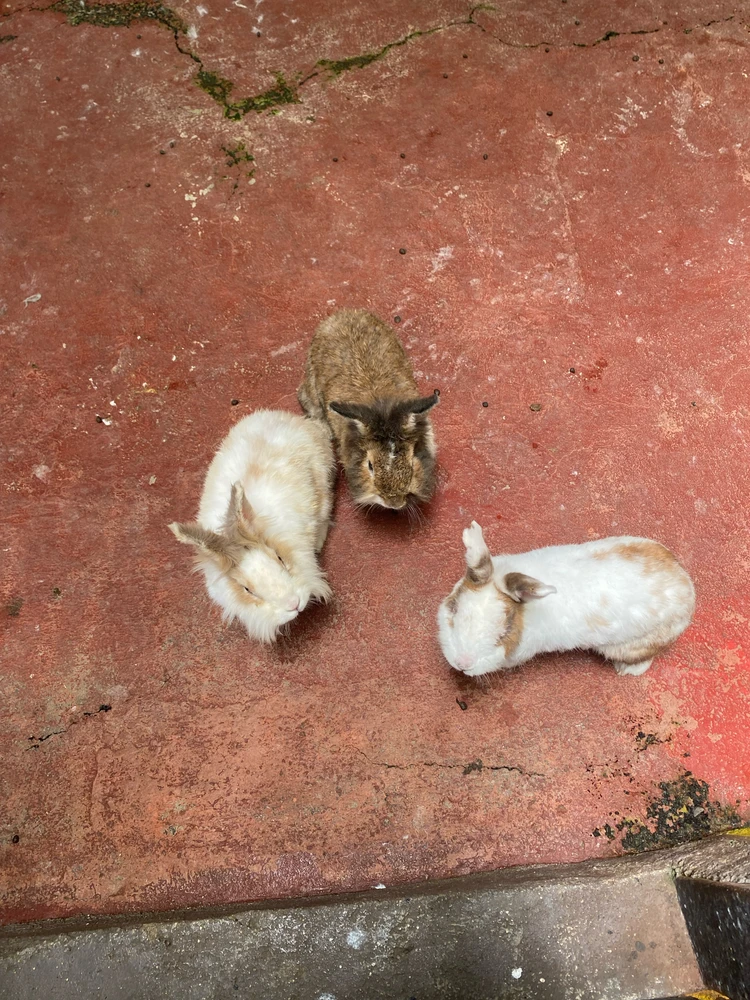 GIF uploaded by Izza