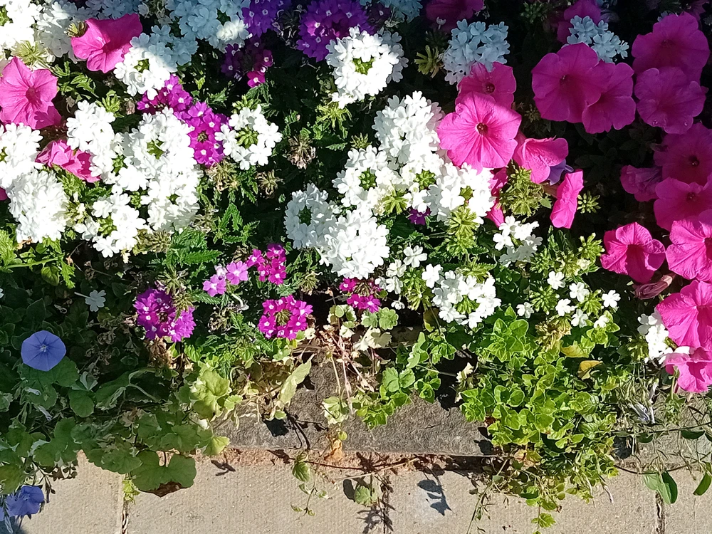 GIF uploaded by Saff