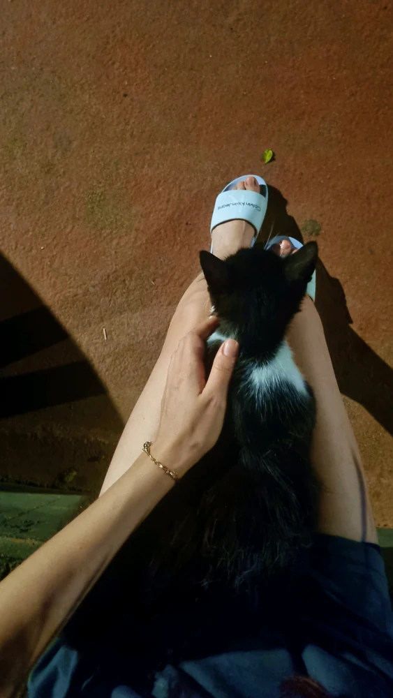 GIF uploaded by Rina