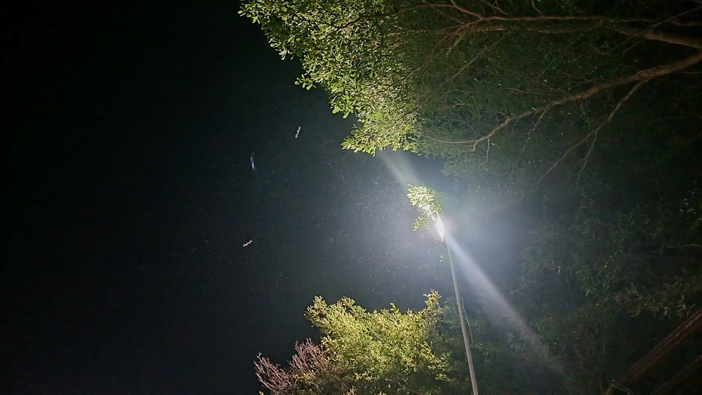 GIF uploaded by Yna