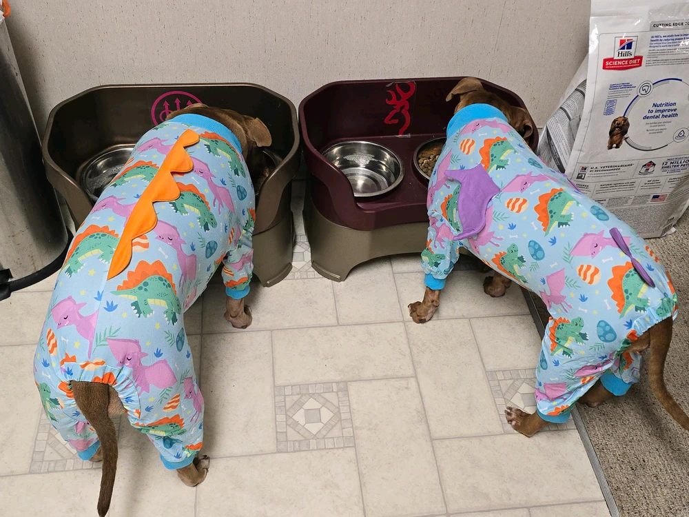Image uploaded by StinkyCheese