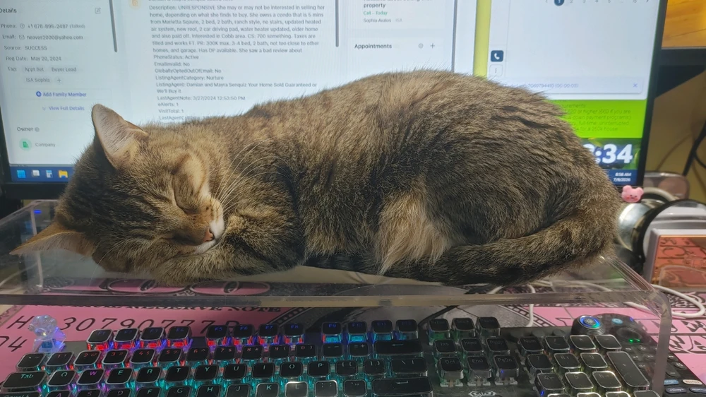 GIF uploaded by ❤ Sophia aka Mango Mami ❤️