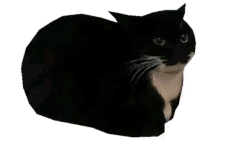 GIF e kentsoeng ke Athali Aina