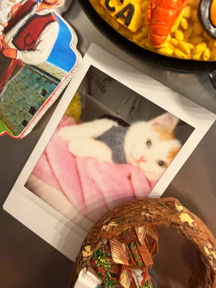 GIF uploaded by Chris