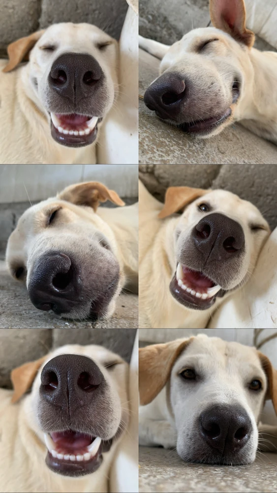 GIF uploaded by Sammie