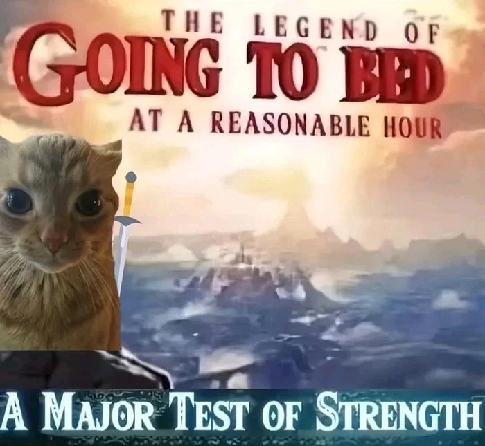 GIF eropgeluede vum Nate
