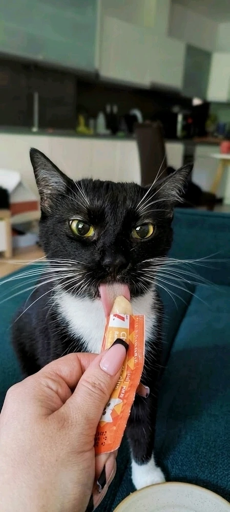 GIF uploaded by May