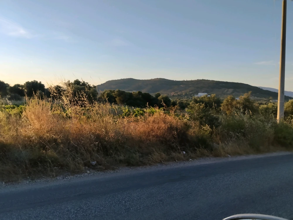 GIF eropgeluede vum Pavlos