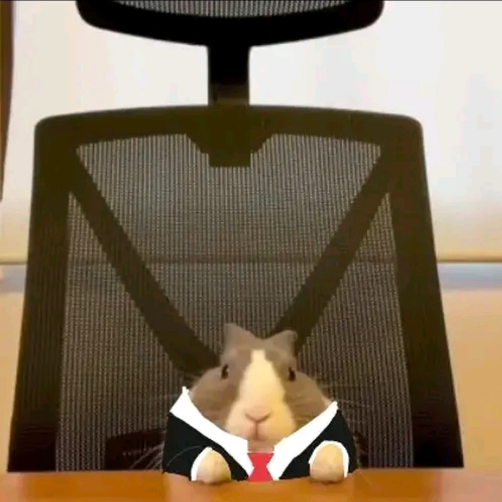 GIF eropgeluede vum David