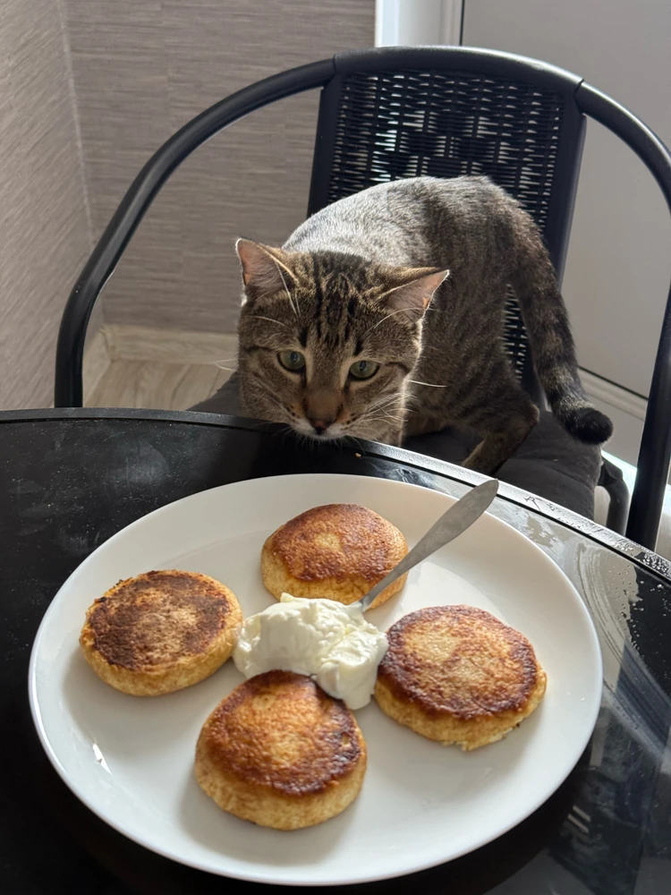GIF EvgeniI tarapyndan ýüklenen