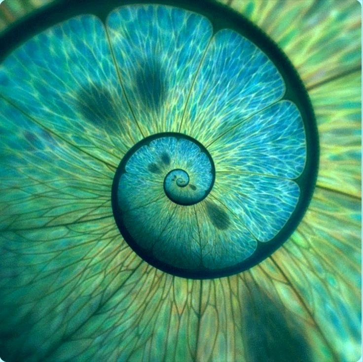 Image uploaded by Leilani