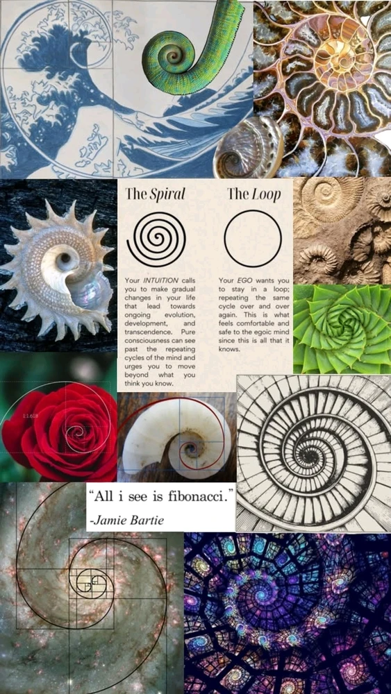 Image uploaded by Leilani