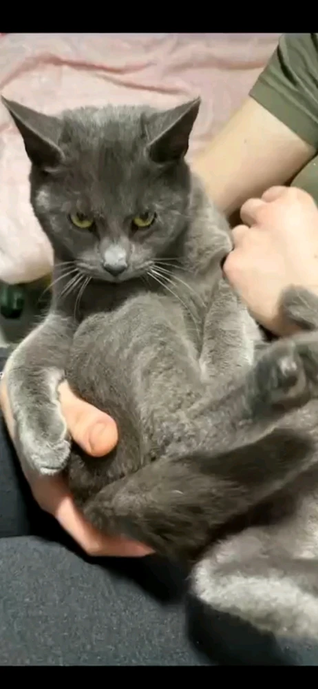 GIF eropgeluede vum KusziOGF