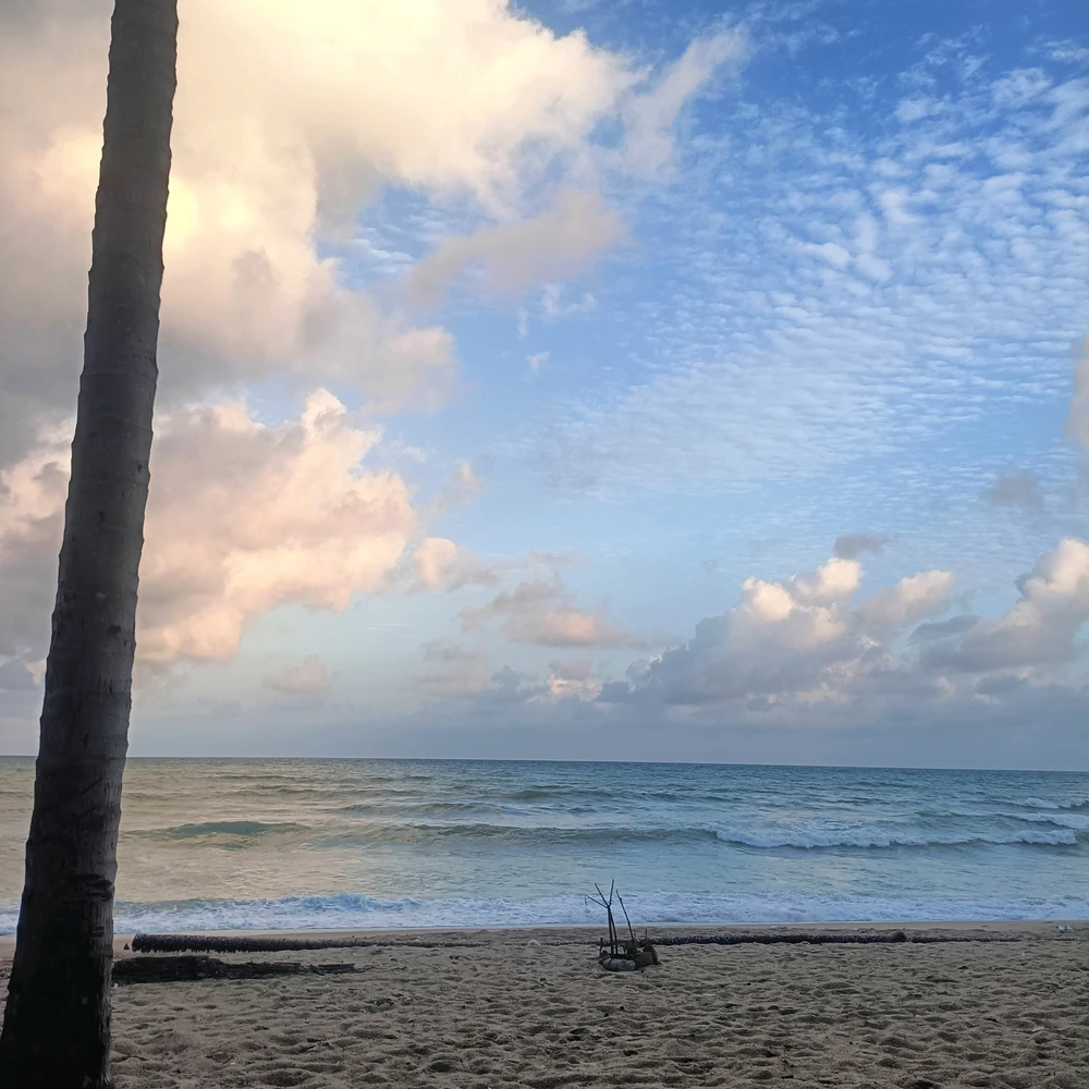 Image uploaded by Hasana