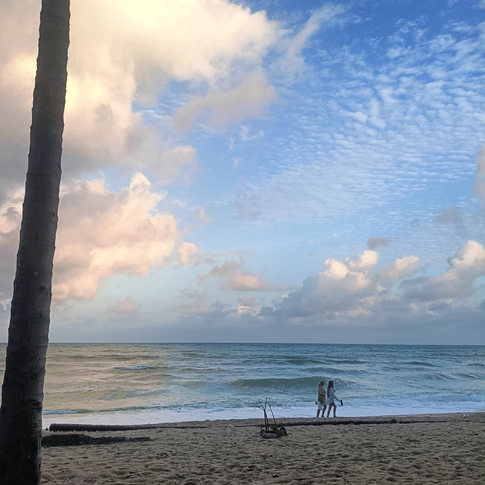 Image uploaded by Hasana