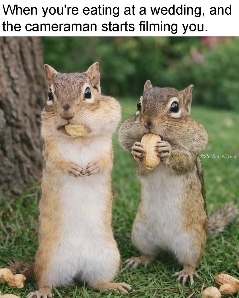 GIF e kentsoeng ke Jen
