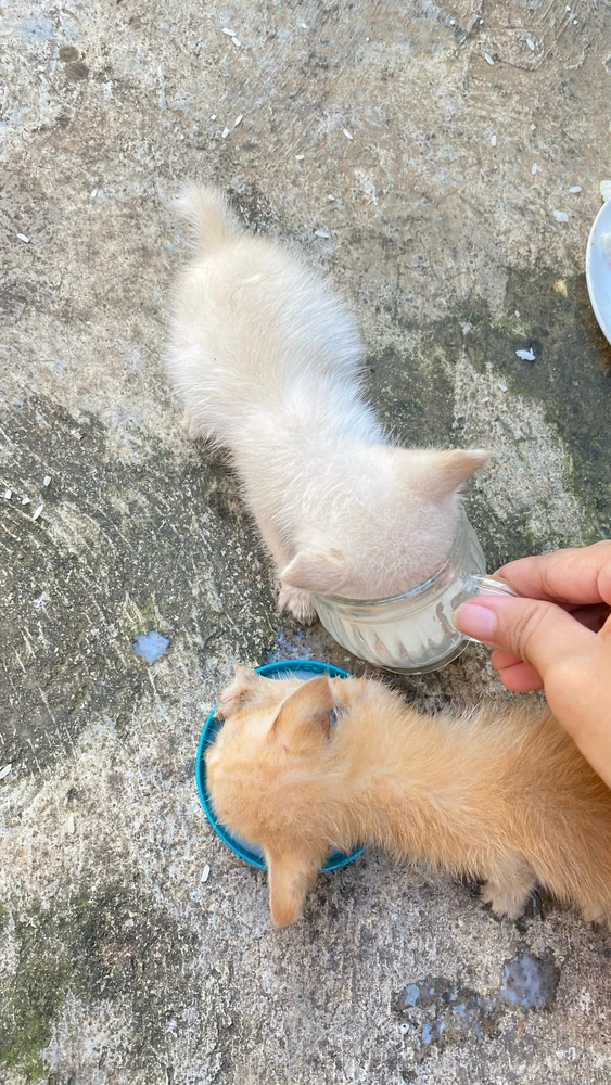 GIF uploaded by Puspita