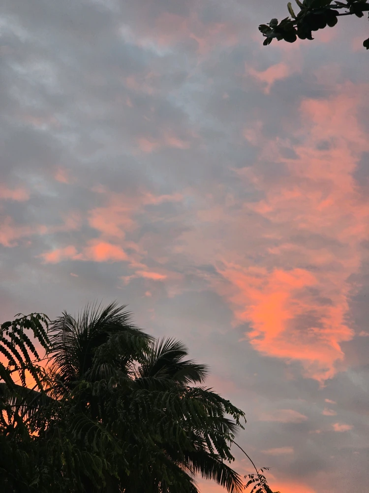 GIF uploaded by PAVI