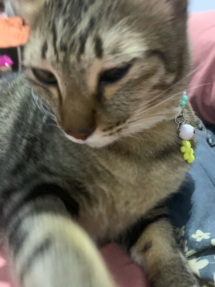 GIF uploaded by An