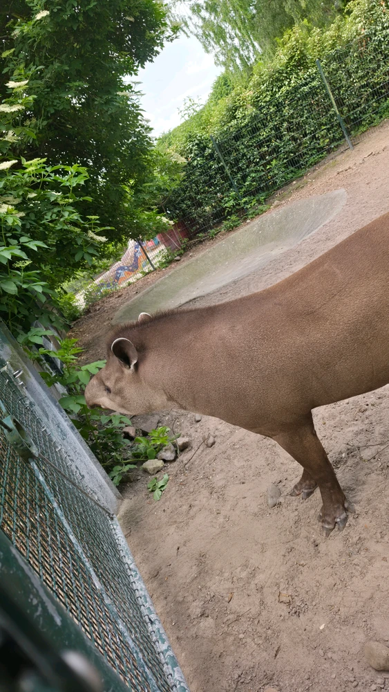 Imatge pujada per George