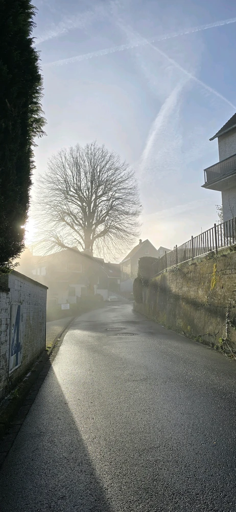 GIF uploaded by Henning