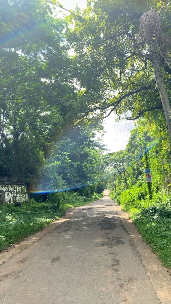 GIF diunggah oleh Stellah