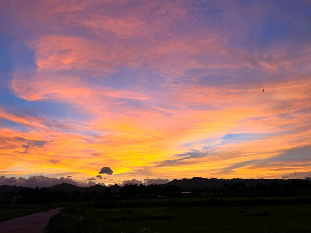 Image uploaded by Cehlihnah