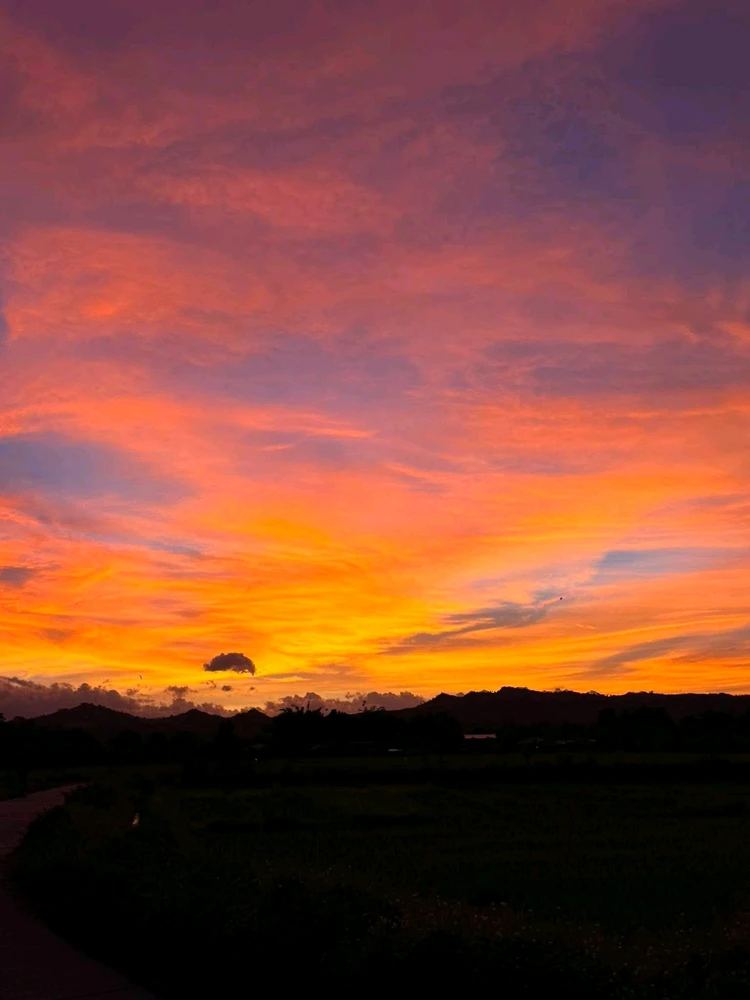 Image uploaded by Cehlihnah
