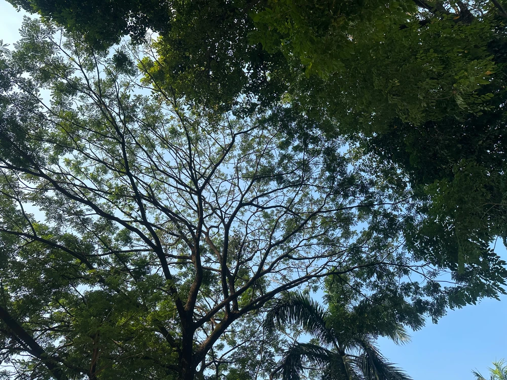 GIF diunggah ku intan