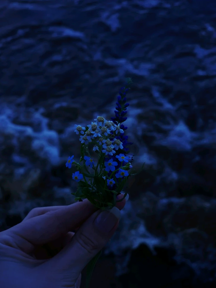 GIF uploaded by No Name