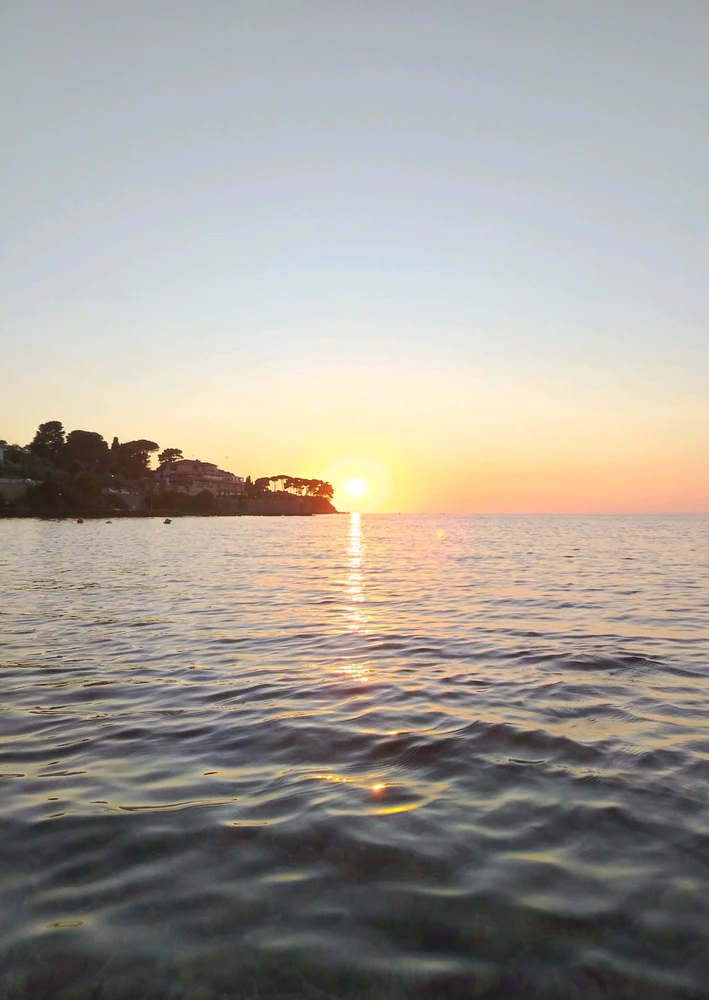 GIF eropgeluede vum Francesco