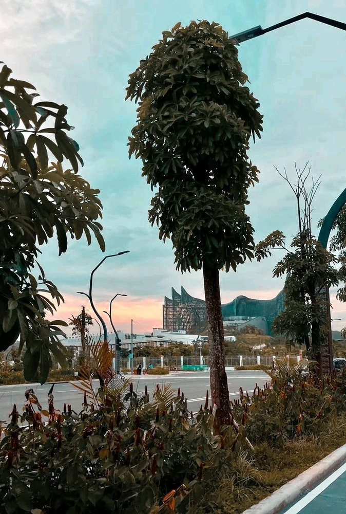 GIF uploaded by Mei