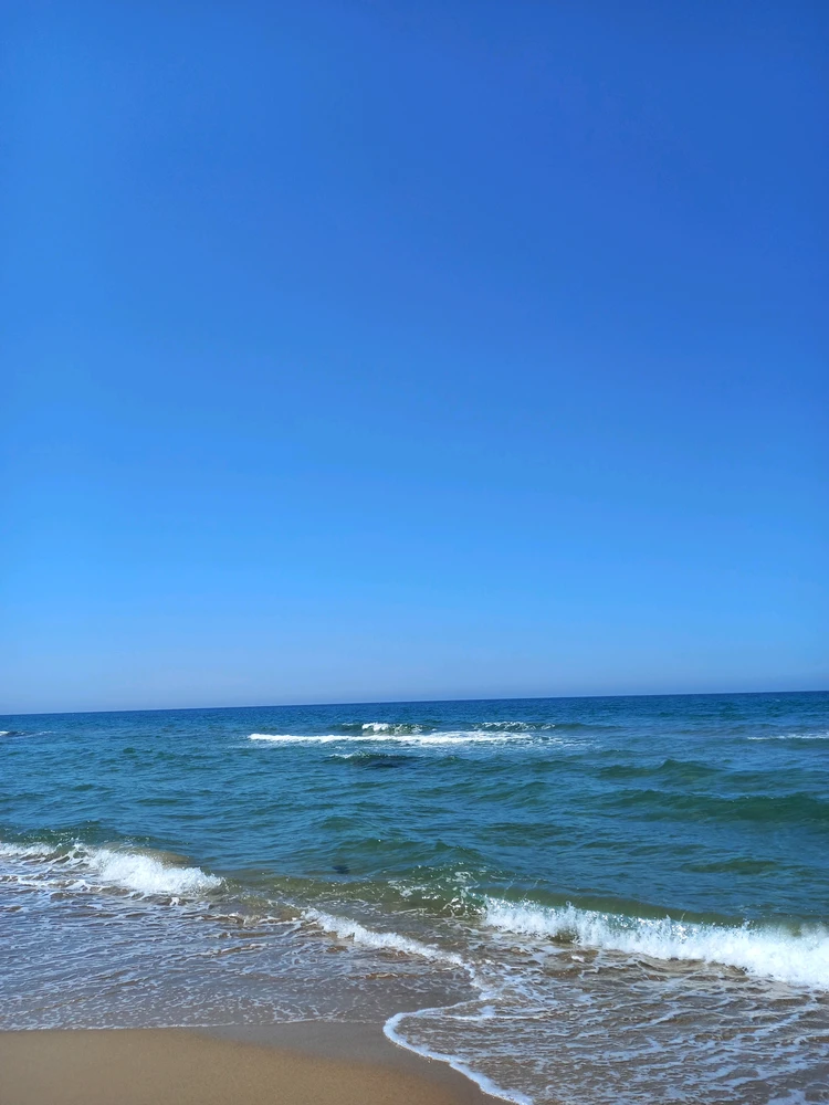 GIF uploaded by Mina