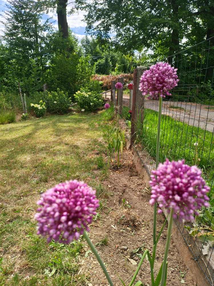 Image uploaded by Remii