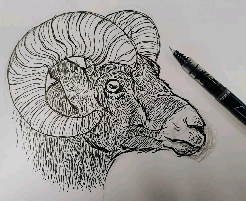 Jose Luis پاران اپ لوڊ ٿيل GIF