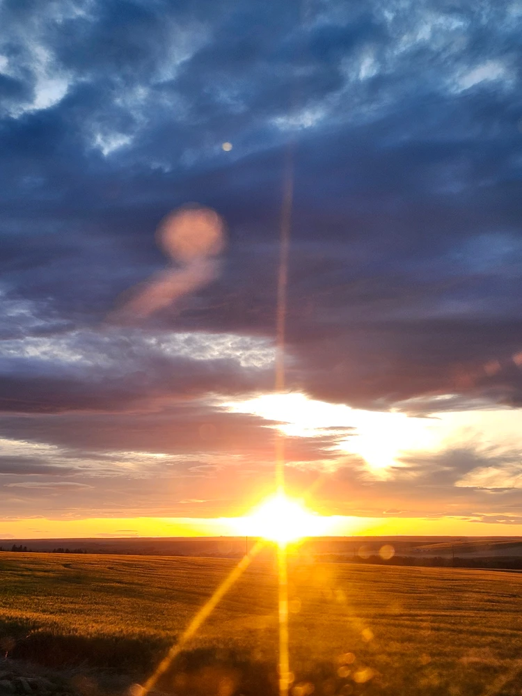 Sliku je učitao/la Sky