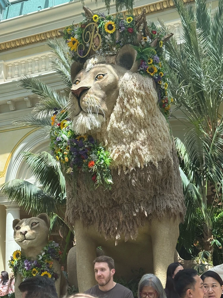 GIF uploaded by Michael Ignudo