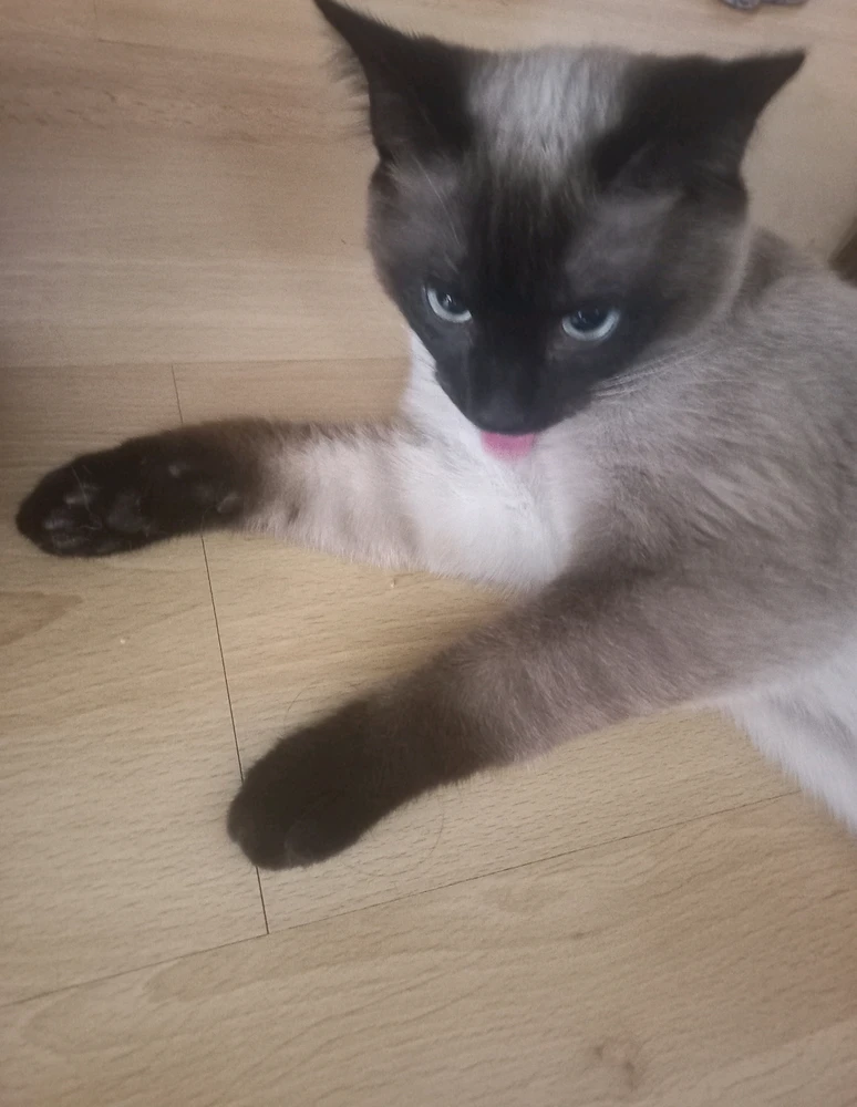 GIF uploaded by Arlena