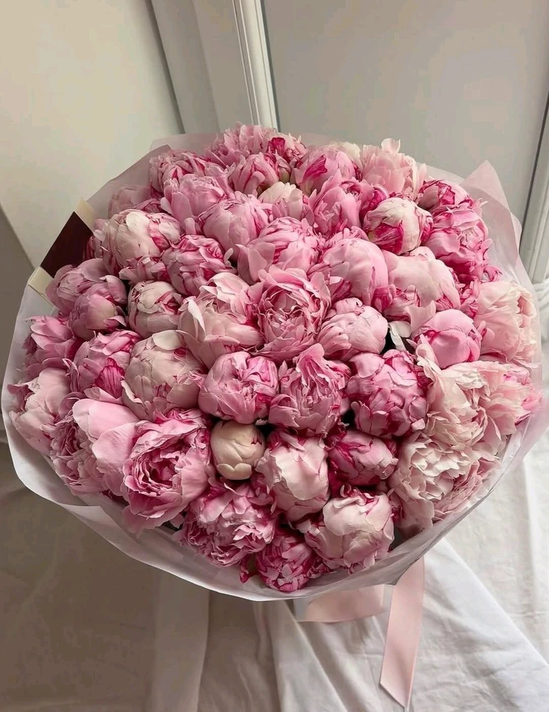 GIF uploaded by Peony